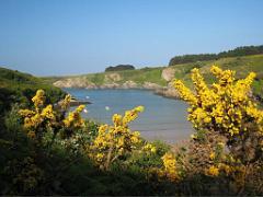 156 BELLE ILE EN MER BANGOR_000016
